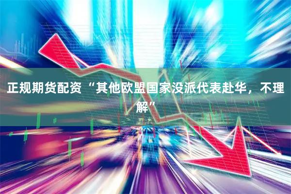 正规期货配资 “其他欧盟国家没派代表赴华，不理解”